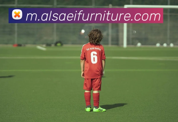 mksports登录入口平台生态图